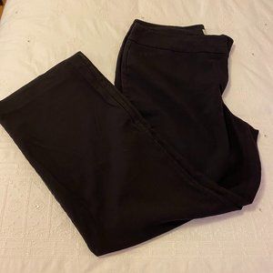 Ann Taylor Curvy Dress Slacks